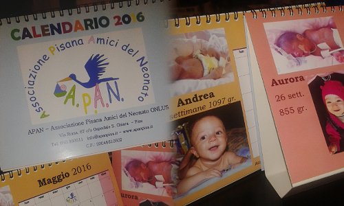 Calendario APAN 2016: il regalo giusto per sostenere le nostre attività!